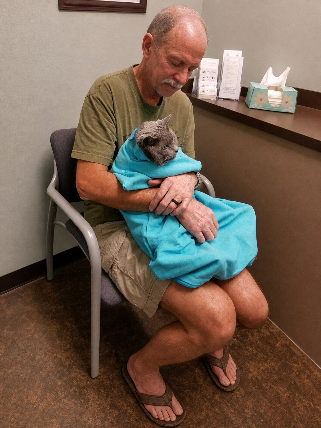 sarafinds-ai-calmcarry-v2-6: CalmCarry Cat Sling — calm waiting room carry