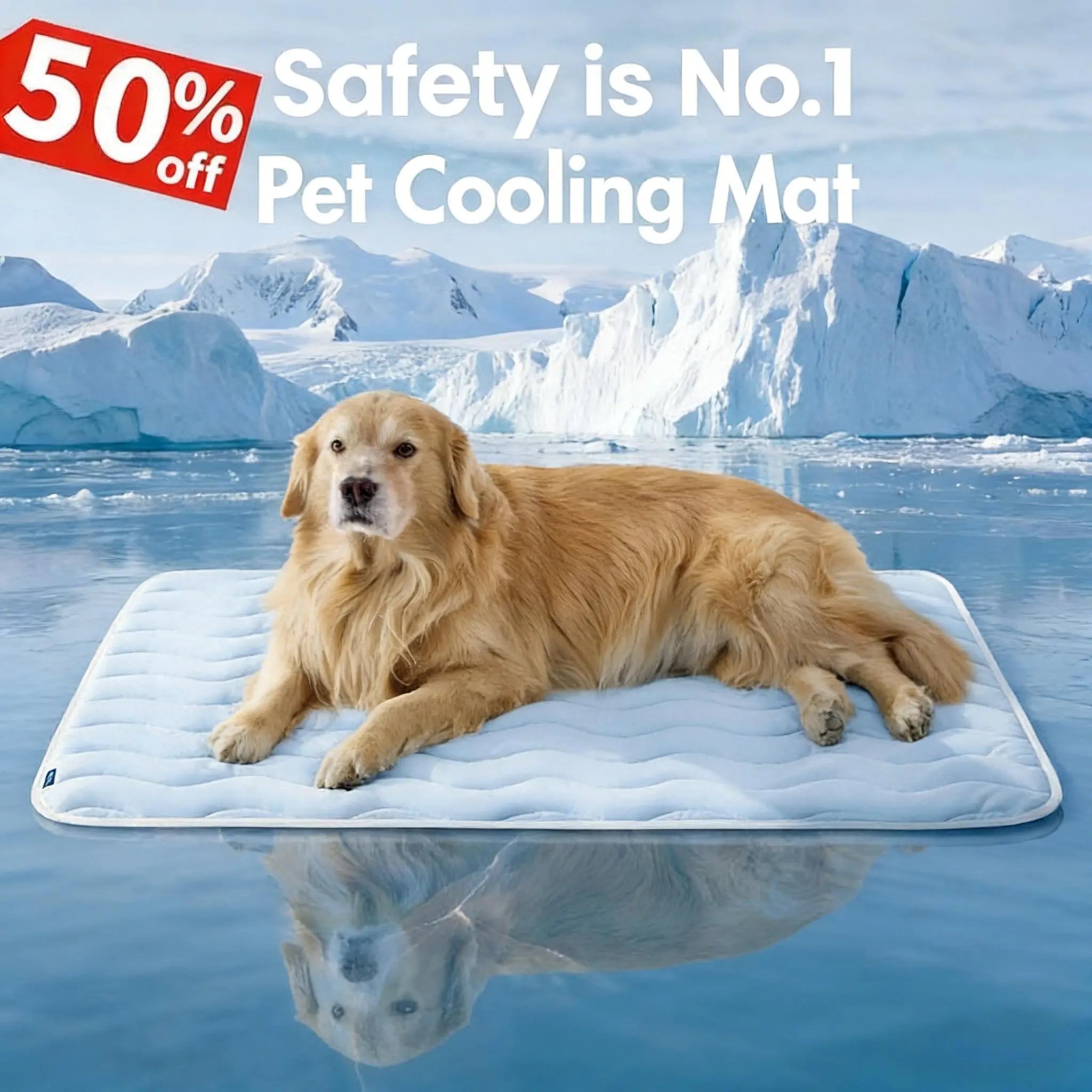 CoolRest washable pet cooling mat in a bright summer home setting