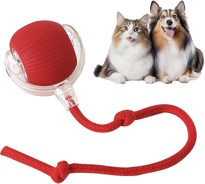 ChaseLoop Smart Pet Toy Ball