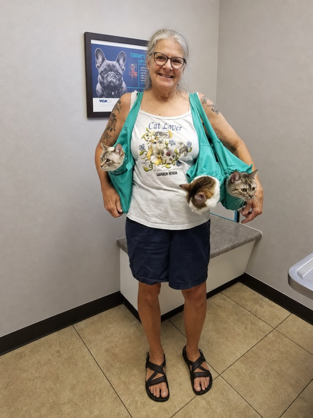 sarafinds-ai-calmcarry-v2-4: CalmCarry Cat Sling — multi-cat veterinary visit