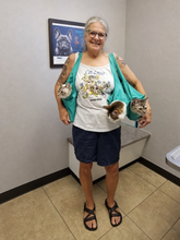 sarafinds-ai-calmcarry-v2-4: CalmCarry Cat Sling — multi-cat veterinary visit