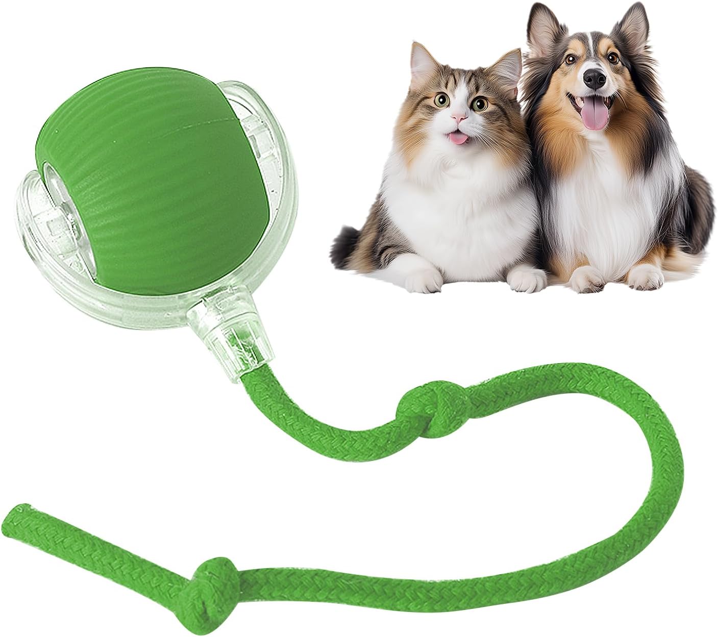 ChaseLoop™ Balle Intelligente pour Animaux