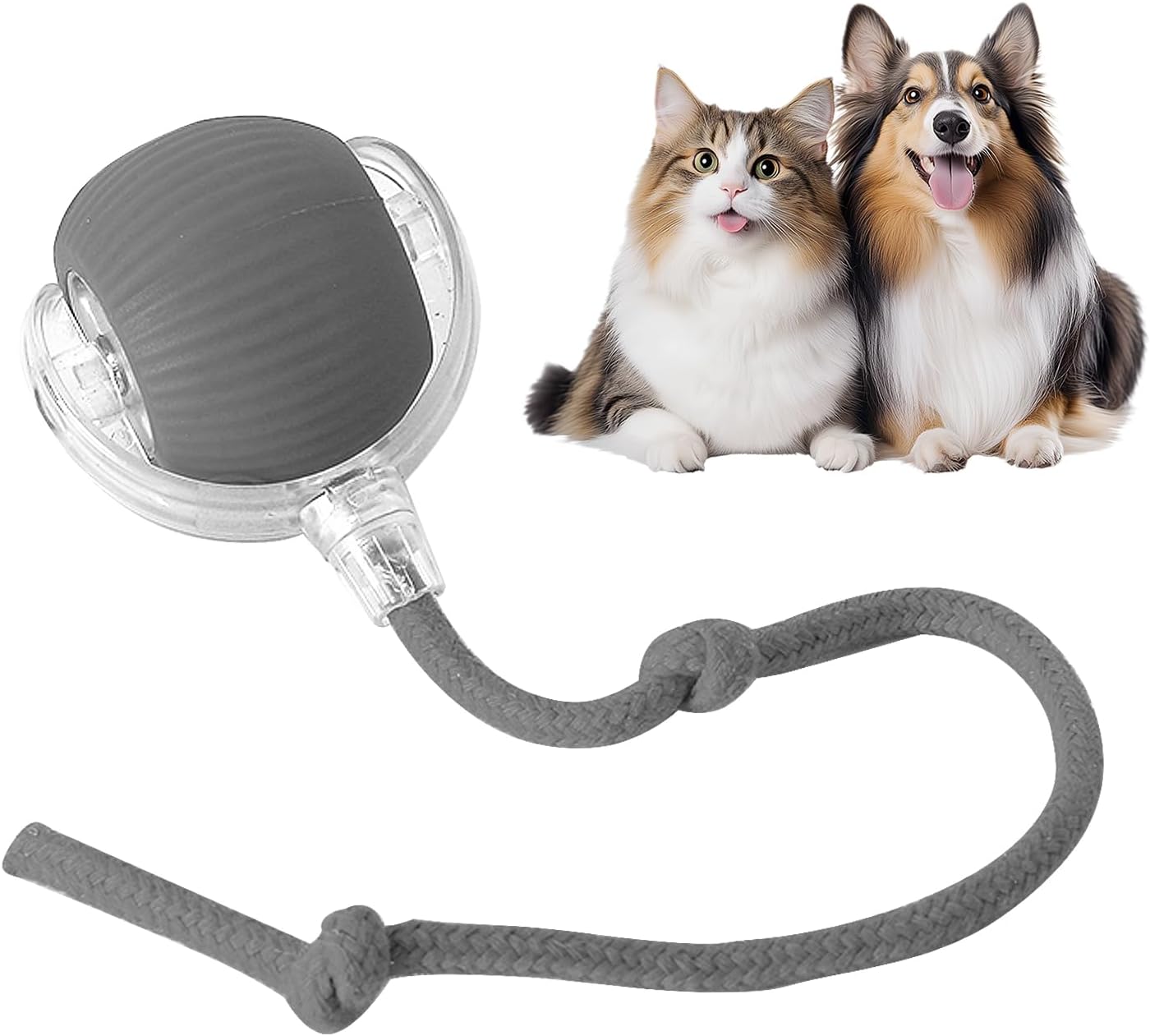 ChaseLoop™ Balle Intelligente pour Animaux