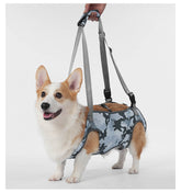 Hunde-Hebegeschirr in Blau-Grau Camouflage an einem Hund