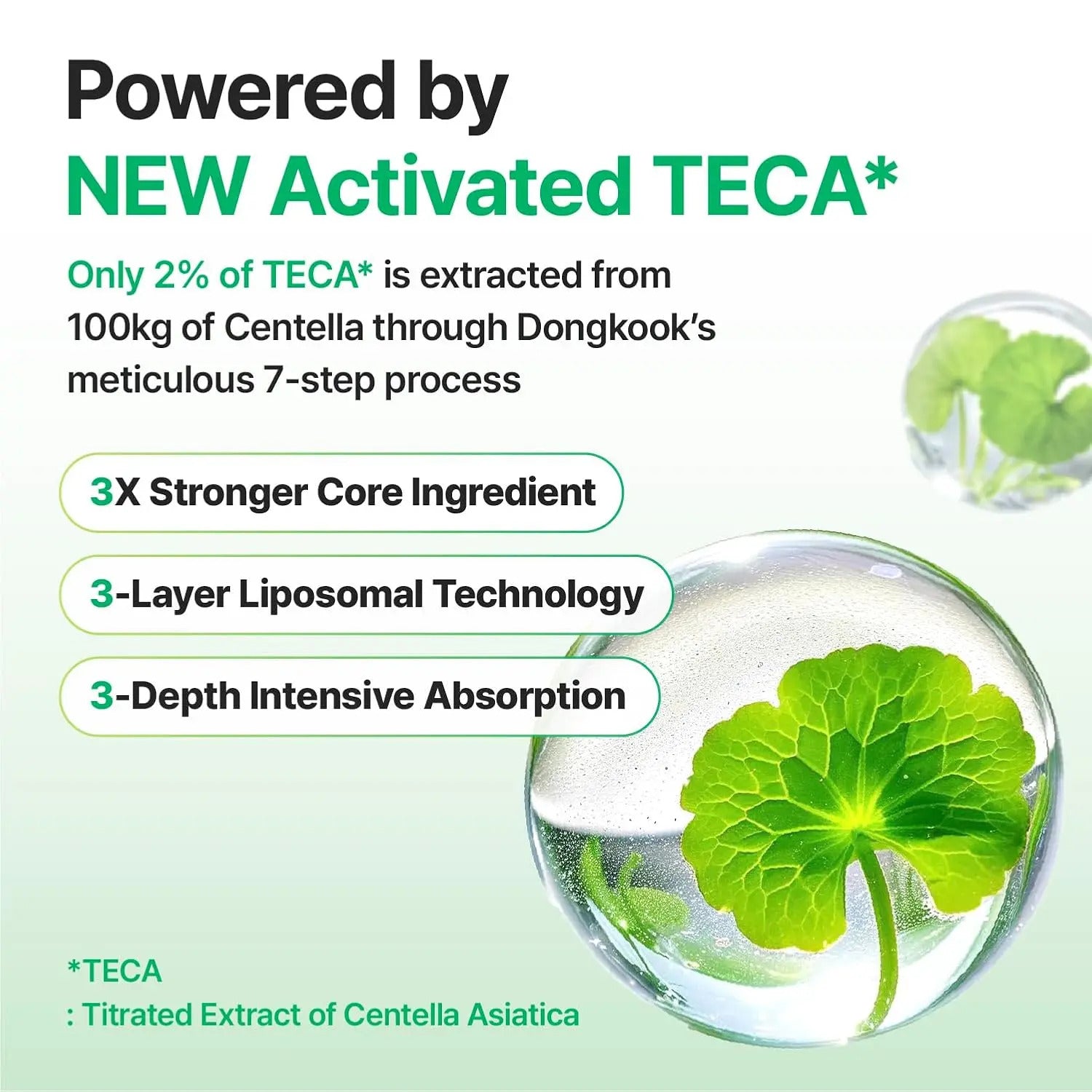 Madeca Time Reverse Cream activated TECA ingredient visual