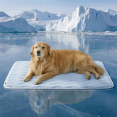 Cooling-touch dog mat with soft quilted surface and low-profile edges